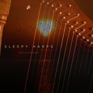 中国美女一级牲交视频
